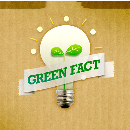 3M Green Fact